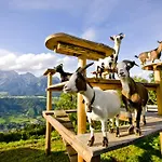 Pension Planaiblick