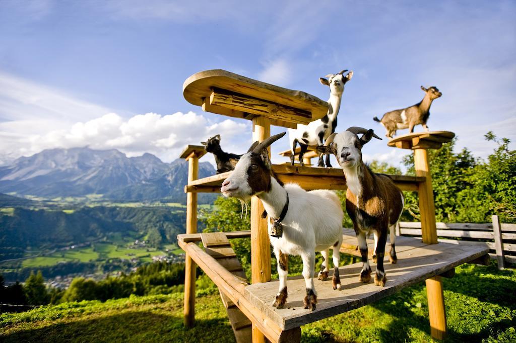 Hotel Planaiblick 3*