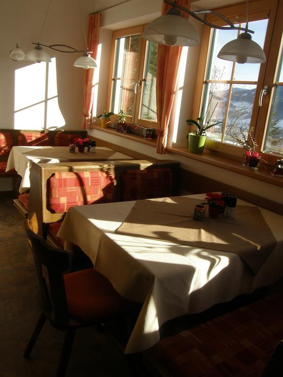 Planaiblick Schladming